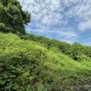 수자원공사 사택 이미지