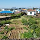 하도조아 이미지