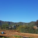 (주)한국유기농 이미지