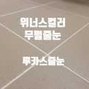 세종시 가온마을12단지 위너스컬러 무펄줄눈_루카스줄눈