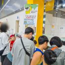 서울렙타일 | 파충류 박람회 일정 체크! 서울 파충류 박람회 렙타일페어 후기