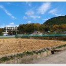 상정리마을회관 이미지