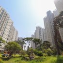 소사벌공인중개사사무소 이미지