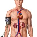 기혈 순환 마사지 이미지