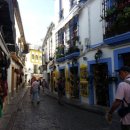 양편농장 이미지