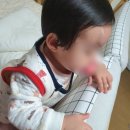 345일~349일 - 유모차 앞보기로 변경, 자기주도식 포기, 찰떡이의 첫걸음마