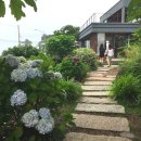 배목수집 이미지