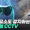 재난안전CCTV 이미지