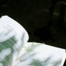 모먼트(MOMENT) 이미지