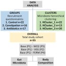 Re: dietary fiber와 plant 발효산물 섭취 비교 탐구!! 이미지