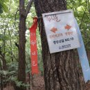 성남누비길 2~3 구간 트레킹 - 경기 성남 이미지