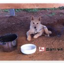 풍산농장 이미지