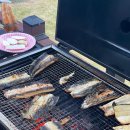 송제헌 | 지리산 함양 마천 송제헌 펜션 - 계곡 앞 조경&amp;시설 좋은 숙소 아기랑 숙박 후기 (물놀이/BBQ)