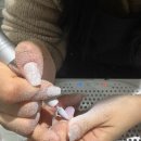 루나네일스튜디오 | 서면 네일 “네일디스튜디오” 이달의아트 후기📝