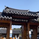 서울 벚꽃 명소 추천 남산골한옥마을 벚꽃 나들이 후기