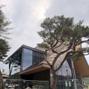 백로주유원지휴양림 앞 | 용인 고기리 스타벅스 용인 고기동유원지점 후기｜주차·계곡뷰·좌석 총정리