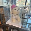 동홍로 | 서귀포꽃집 고운플라워에서 완성한 특별한 기념일 꽃선물 이야기