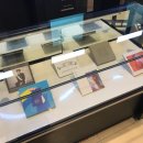 빛이나개 이미지