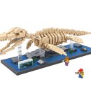 수니컴퍼니 이미지