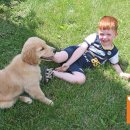 제이몽애견펜션 이미지