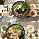 벚꽃나들버섯집 이미지