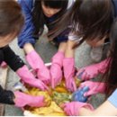 약초골한옥마을 이미지