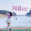 겨울골프 자유cc 라운딩 후기 스타벅스 골프장 자유cc