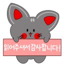 치즈헤어