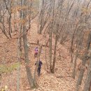 수동농장 이미지