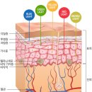 산소에스테틱