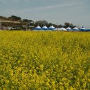 삼포주유소 이미지