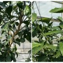 창민농장 이미지