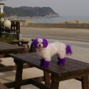 백사장펜션 이미지