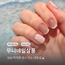 아튼빌상가(1층) | 성남 네일샵 가성비 모란 무니네일살롱 자석젤 추천