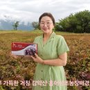 송정아뷰티