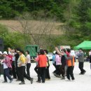 치악산산나물축제 Daum카페