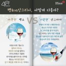 뱅쇼vs 상그리아 이미지