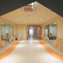 아메리칸스템프렙 이미지