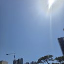 차 없는 잠수교의 낭만, 2026 차 없는 잠수교 뚜벅뚜벅 축제! 고즈넉한 한강 산책 후기 ✨