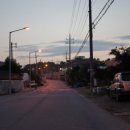 비금농협 파머스마켓 | 비금도 흑산도 투어 -비금도편- (2014/6/6)