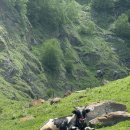 엠버여행사 이미지