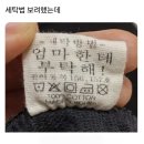 세탁 방법🧺 이미지