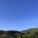 티볼리빌 이미지