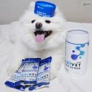 ㈜푸른섬유 | 1위 펫유산균 종근당유산균 라비벳 장건강 &amp; 구강 유산균 후기