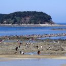 무창포해수욕장 이미지