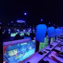 진케이PC 이미지