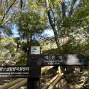 대동사 약수터 이미지