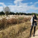 순천만 갈대밭 호스텔 이미지