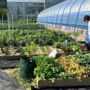 이성기농장 이미지