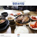 천안 동남구 맛집 착한가격업소 향촌보리밥 이미지